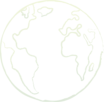 Globe icon